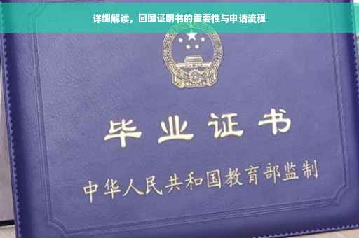 详细解读，回国证明书的重要性与申请流程