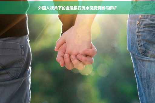 外国人视角下的金融银行流水深度洞察与解析