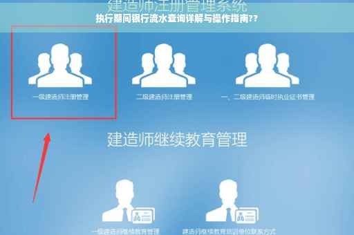 执行期间银行流水查询详解与操作指南??