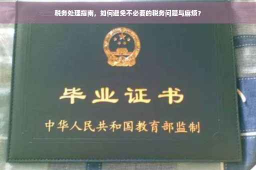 税务处理指南，如何避免不必要的税务问题与麻烦？