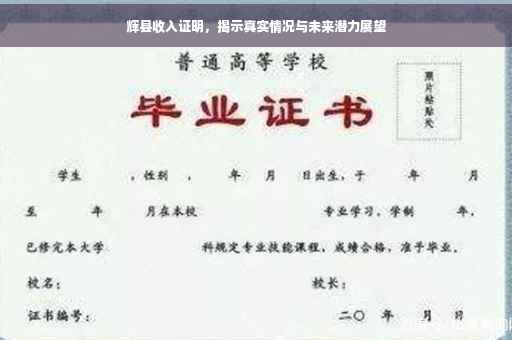 辉县收入证明，揭示真实情况与未来潜力展望