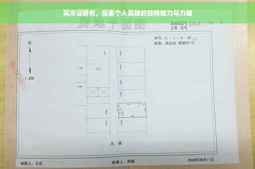 高冷证明书，探索个人品牌的独特魅力与力量