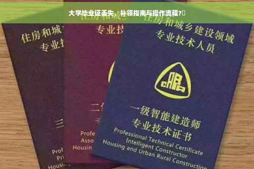 大学毕业证丢失，补领指南与操作流程?✨
