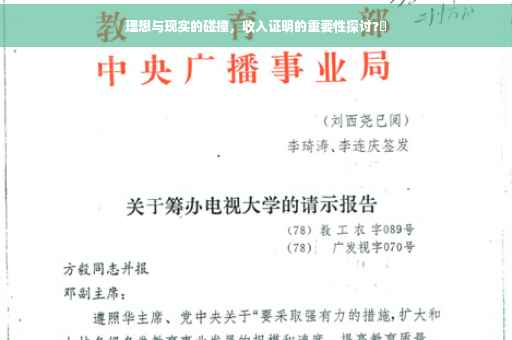 理想与现实的碰撞，收入证明的重要性探讨?✨