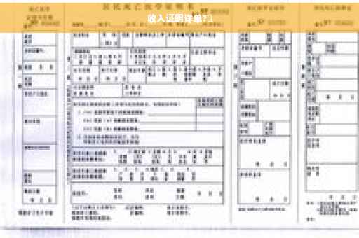 收入证明详单?✨