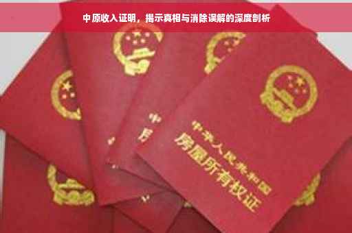 中原收入证明，揭示真相与消除误解的深度剖析