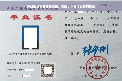 多动症证明书的重要性，理解、诊断与支持的探索