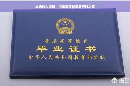 本地收入证明，揭示真实状况与应对之策
