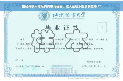 揭秘高收入背后的真相与秘密，收入证明下的真实故事 ??