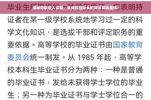 揭秘微软收入证明，全球科技巨头的财富密码揭晓！