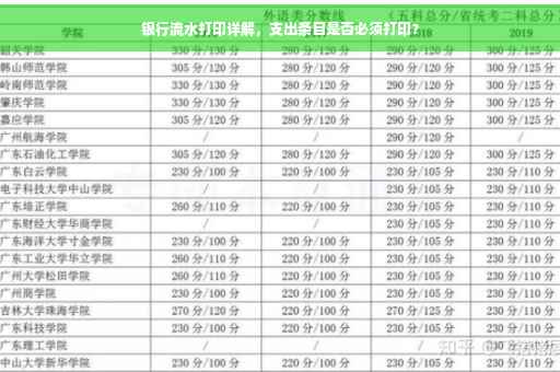 银行流水打印详解，支出条目是否必须打印？