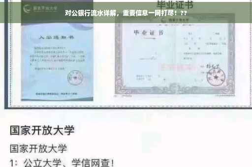 对公银行流水详解，重要信息一网打尽！??