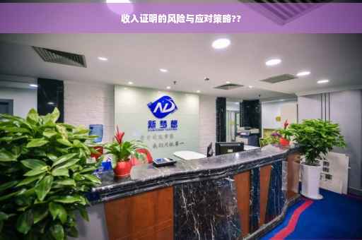 收入证明的风险与应对策略??