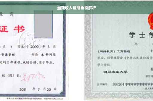 最新收入证明全面解析