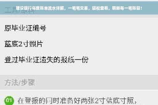 建设银行年度账单流水详解，一笔笔交易，轻松查看，明晰每一笔账目！