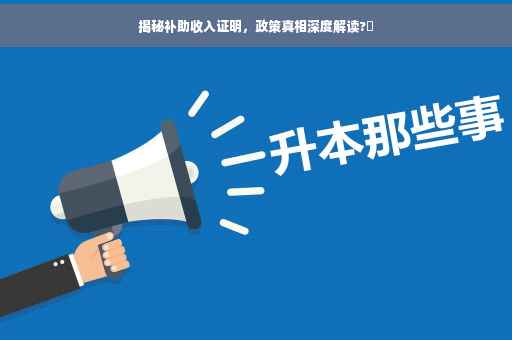 揭秘补助收入证明，政策真相深度解读?✨