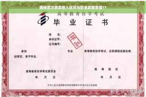 揭秘武汉真实收入状况与职业发展前景??