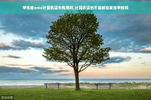 学生收ems计算机证书有用吗,计算机证书不直邮会发给学校吗