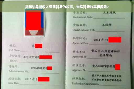 揭秘毕马威收入证明背后的故事，光鲜背后的真相探索?