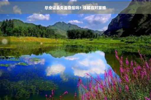 毕业证丢失需登报吗？详解应对策略
