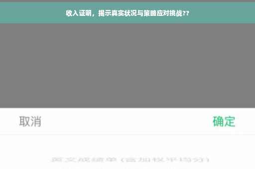 收入证明，揭示真实状况与策略应对挑战??