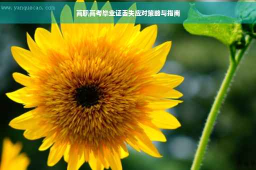 高职高考毕业证丢失应对策略与指南