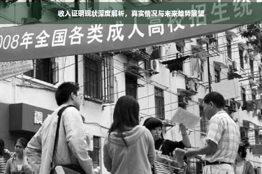 收入证明现状深度解析，真实情况与未来趋势展望