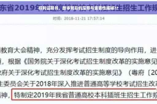 权利证明书，故事背后的深意与重要性揭秘??