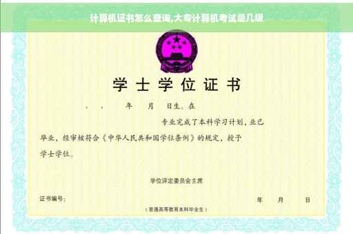 计算机证书怎么查询,大专计算机考试是几级