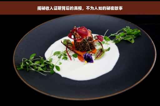 揭秘收入证明背后的真相，不为人知的秘密故事
