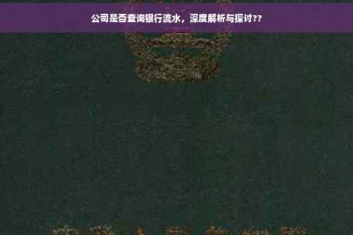 公司是否查询银行流水，深度解析与探讨??