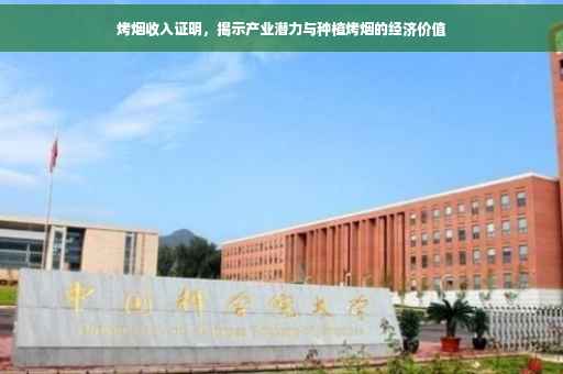 烤烟收入证明，揭示产业潜力与种植烤烟的经济价值
