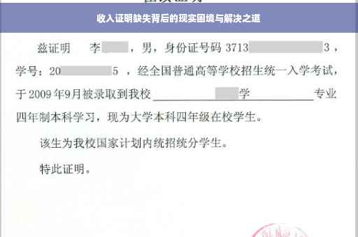 收入证明缺失背后的现实困境与解决之道
