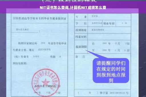 NIT证书怎么查询,计算机NIT成绩怎么查
