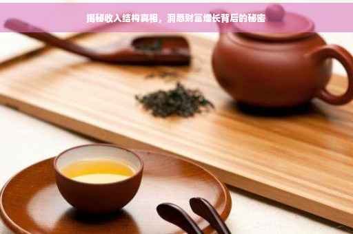 揭秘收入结构真相，洞悉财富增长背后的秘密