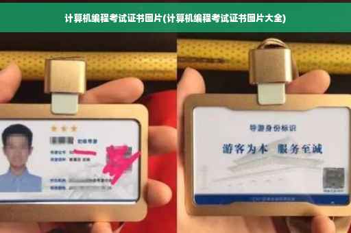 计算机编程考试证书图片(计算机编程考试证书图片大全)