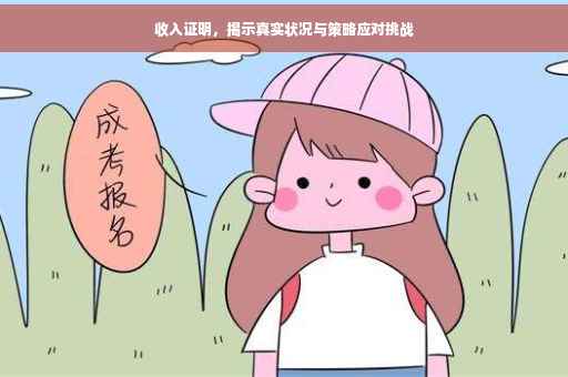 收入证明，揭示真实状况与策略应对挑战