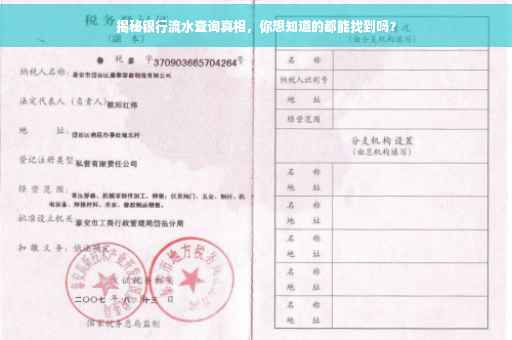 揭秘银行流水查询真相，你想知道的都能找到吗？
