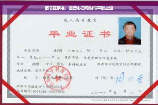 调节证明书，重塑心灵和谐与平衡之道