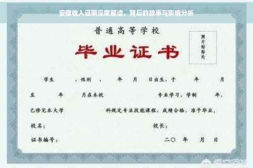 安徽收入证明深度解读，背后的故事与影响分析