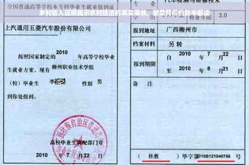 乡村收入证明揭示农村经济的真实面貌，繁荣背后的数字解读