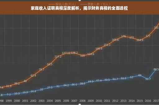 家庭收入证明真相深度解析，揭示财务真相的全面透视