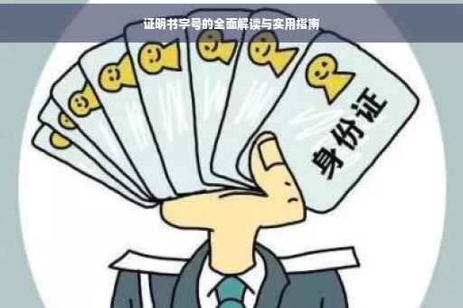 证明书字号的全面解读与实用指南