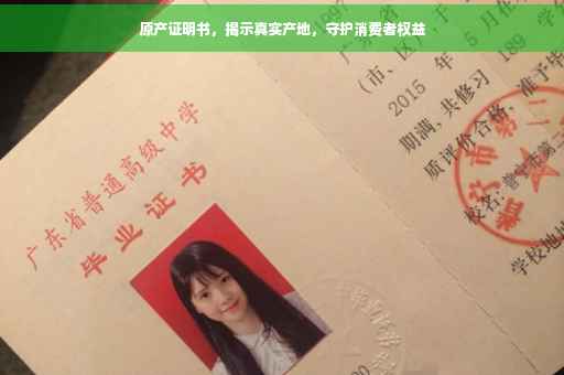 原产证明书，揭示真实产地，守护消费者权益