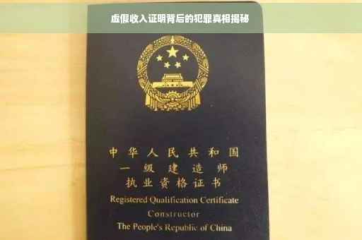 虚假收入证明背后的犯罪真相揭秘