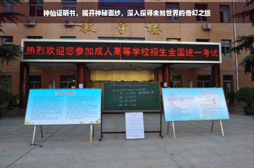 神仙证明书，揭开神秘面纱，深入探寻未知世界的奇幻之旅