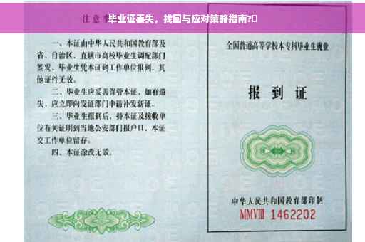 毕业证丢失，找回与应对策略指南?✨