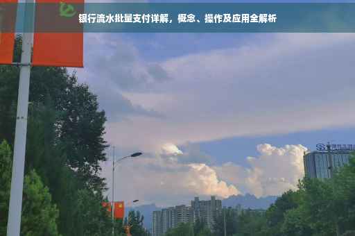 银行流水批量支付详解，概念、操作及应用全解析