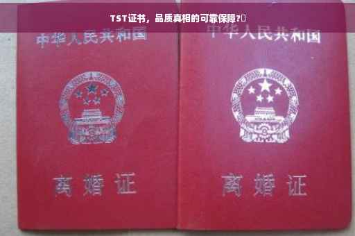 TST证书，品质真相的可靠保障?✨