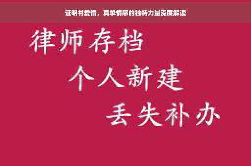 证明书爱情，真挚情感的独特力量深度解读